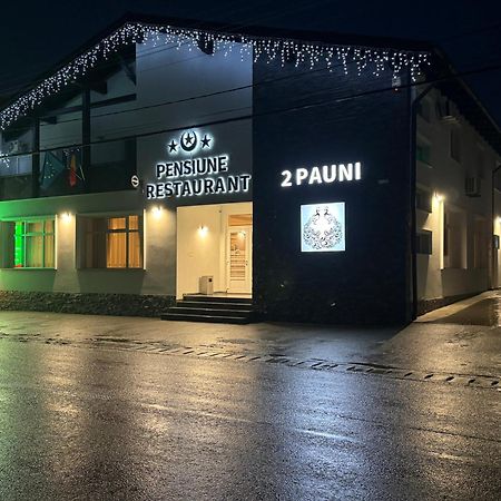Pensiune Restaurant Pizzerie 2 Pauni Borşa エクステリア 写真