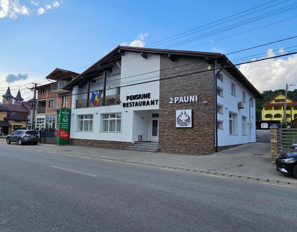 Pensiune Restaurant Pizzerie 2 Pauni Borşa エクステリア 写真